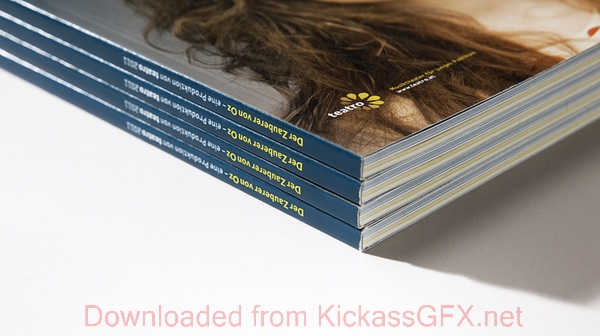 引领效率革命的DDOS网页端